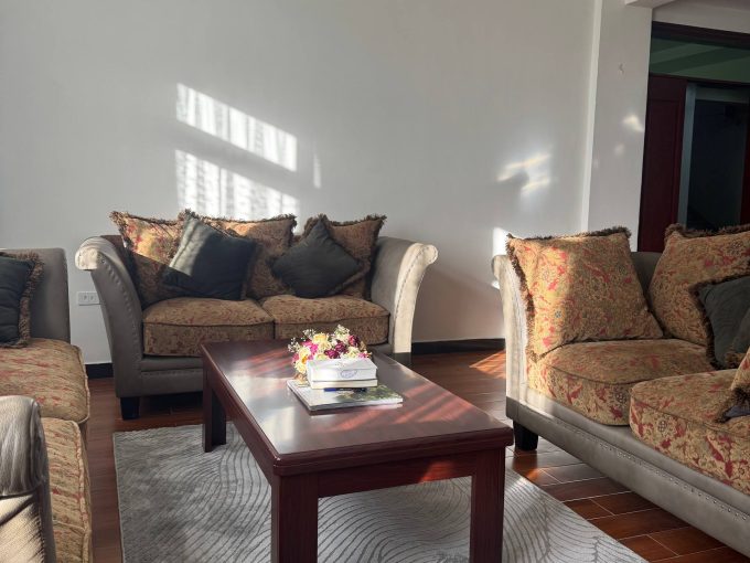 1 bedroom furnished apartment rent in bole bulbula